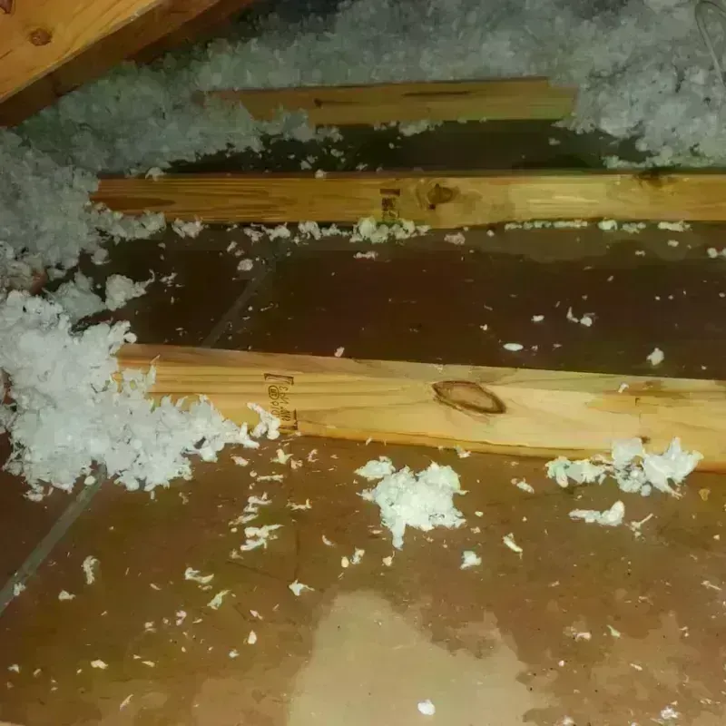 Attic Water Damage in Lamb County, TX