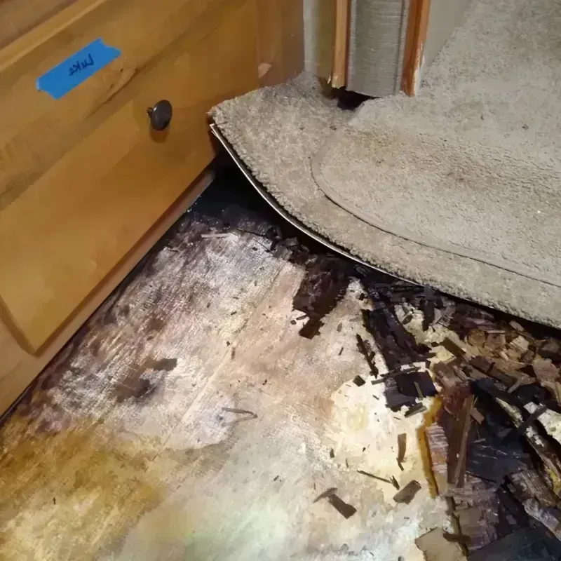 Wood Floor Water Damage in Lamb County, TX